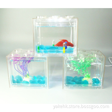 Small clear acrylic aquarium/fish tank